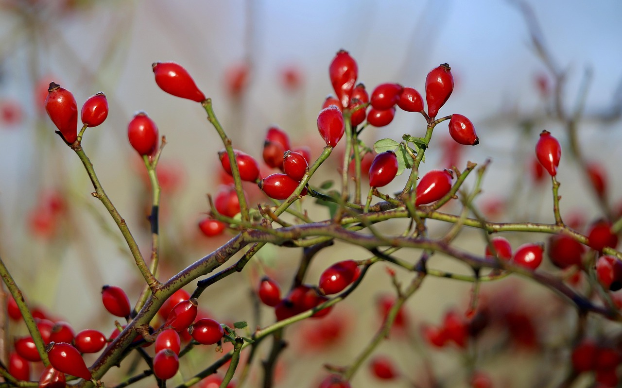 Mão coçando: 5 significados populares e o que a ciência diz