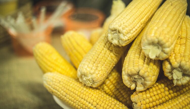 Nomes para festa junina: 15 sugestões para arrasar na decoração