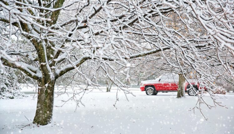 Ssw rastrear pedido: como acompanhar sua entrega em tempo real