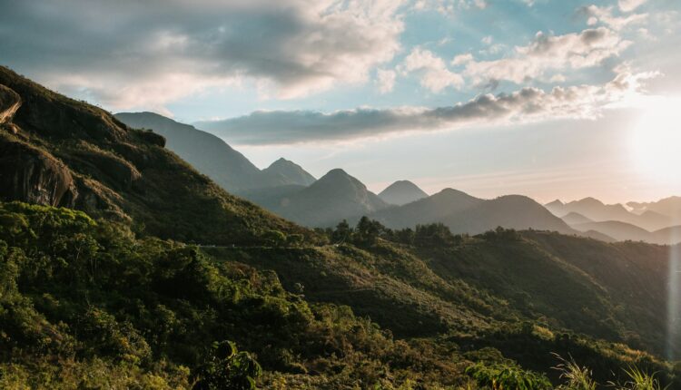 green trees on mountain under white clouds during daytime