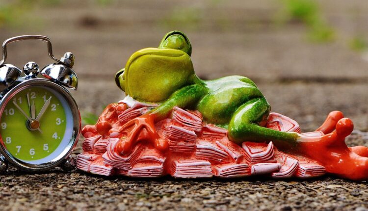 Fortuna de robinson shiba: como o fundador do china in box enriqueceu