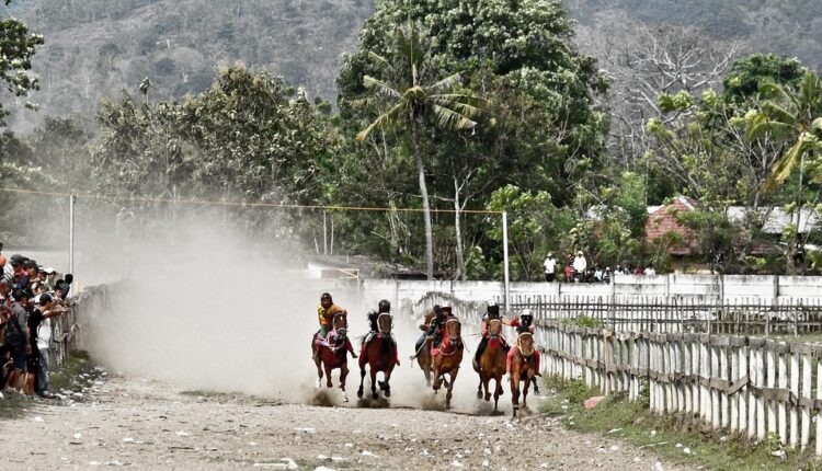 Sonhar com tiroteio e morte: 5 significados que você precisa conhecer