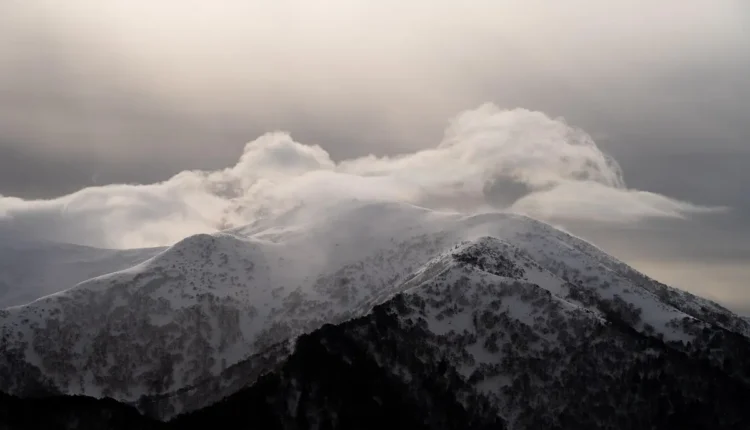Como a computação em nuvem está transformando pequenas empresas