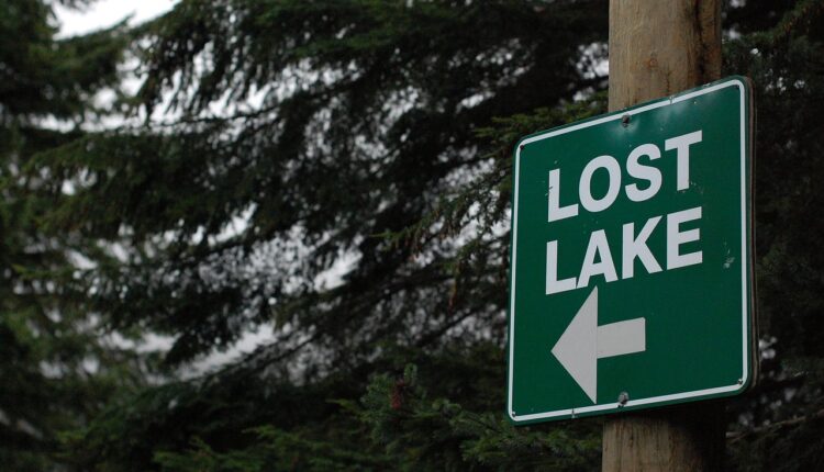 Achados e perdidos ônibus sptrans: como recuperar objetos perdidos