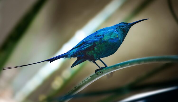 Unihosp saúde 2 via fatura: como emitir e pagar sua fatura online